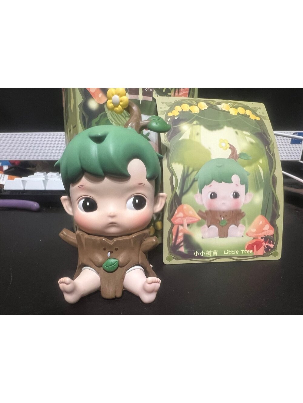 hacipupu little tree